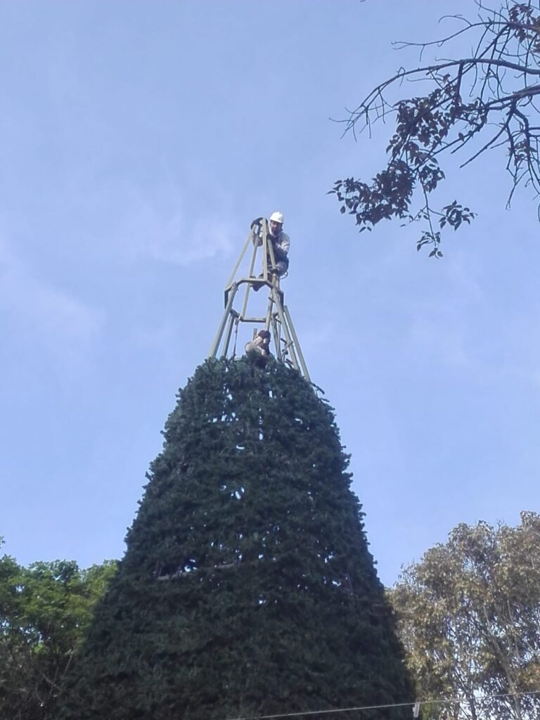 Instalación de luces de navidad Bogotá