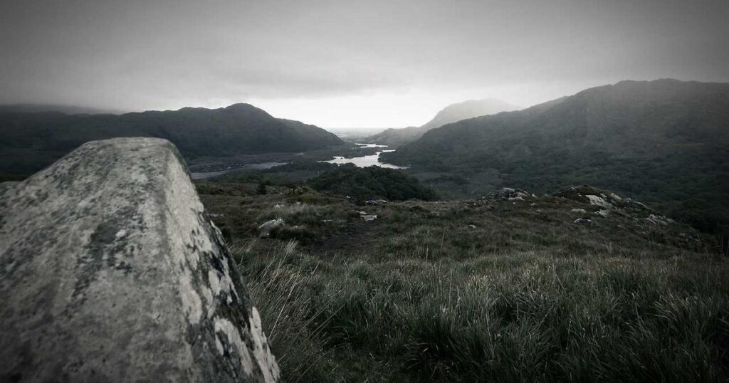 Luces navideñas cuanto cuesta Colombia