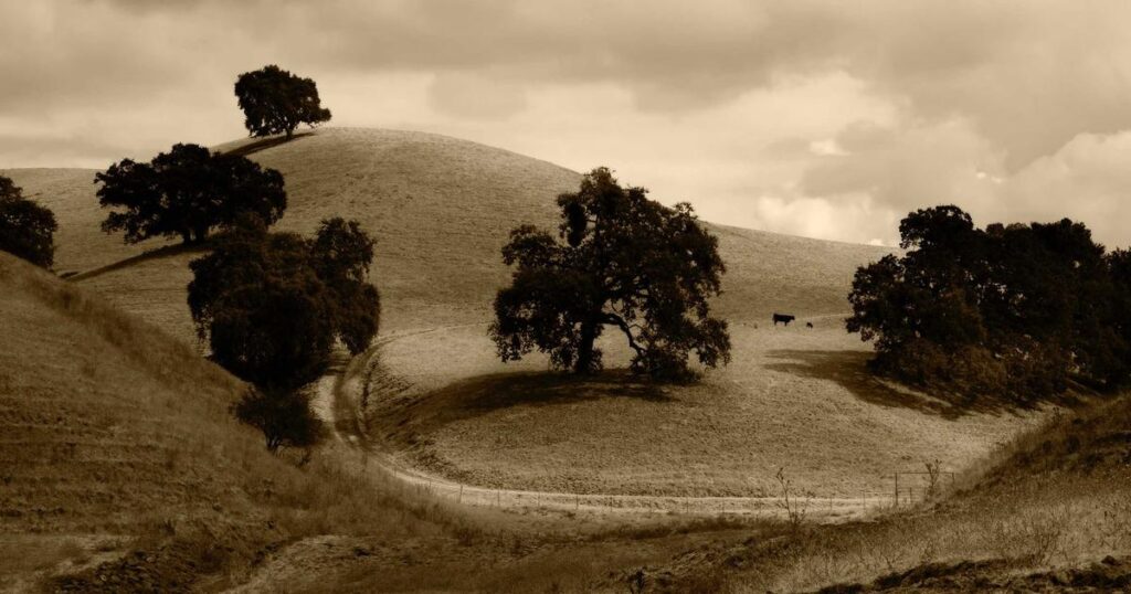 Luces navideñas tendencias Colombia
